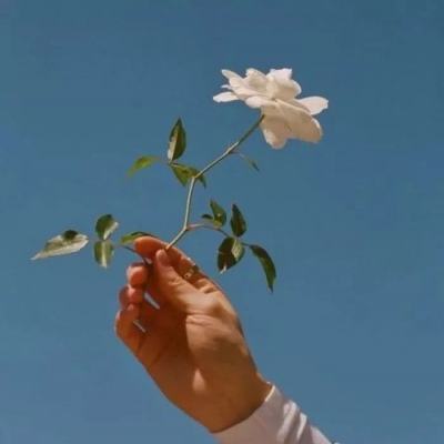 欧姆龙成功事例 | EFEM设备中的...
