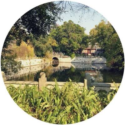 电影《挽救计划》高口碑热映